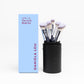 The Go-To Brush Set